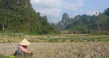 Visiter Grotte de Tham Phu Kham