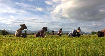 Visiter Plantation Living and Lao et balade en kayak