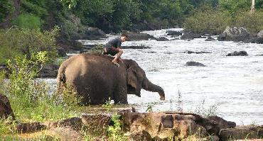 Visiter Plateau des Bolovens : chutes Tad Lo