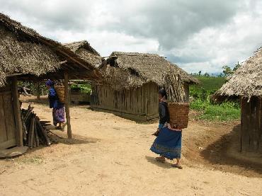 Visiter Randonnée au départ de Muang Sing