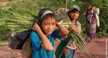 Visiter Trek dans les environs de Muang La