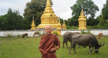 Visiter Village de Luang Nam Tha et les villages alentour