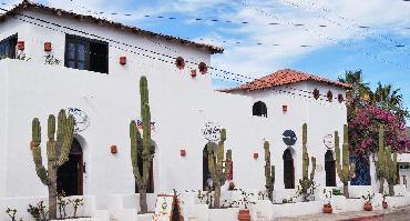 Visiter Todos Santos