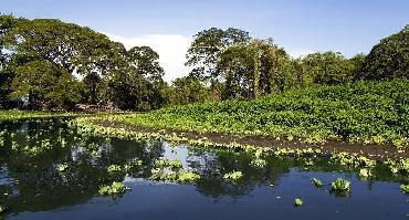 Visiter Navigation sur le lac Nicaragua : visite de « las isletas »