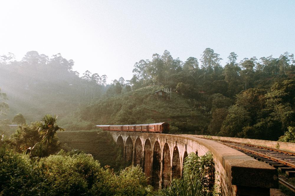 Sri Lanka, au pays de l'or vert