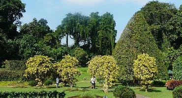 Visiter Jardin de Peradeniya