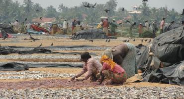 Visiter Village de pêcheurs de Chilaw