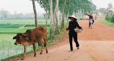 Visiter Village Duong Lam