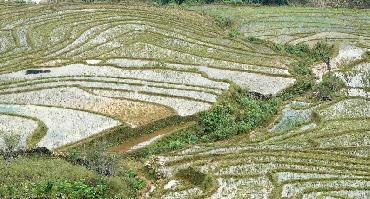 Visiter Villages autour de Sapa : Cat Cat, Linh Ho, Lao Chai et Ta Van