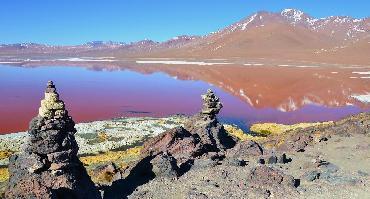 Circuit Trilogie Andine : Argentine - Chili - Bolivie