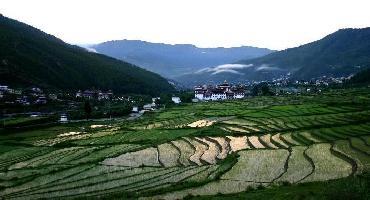 Voyage Bhoutan : Visiter Thimphu