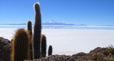 Voyage Bolivie : Visiter Uyuni