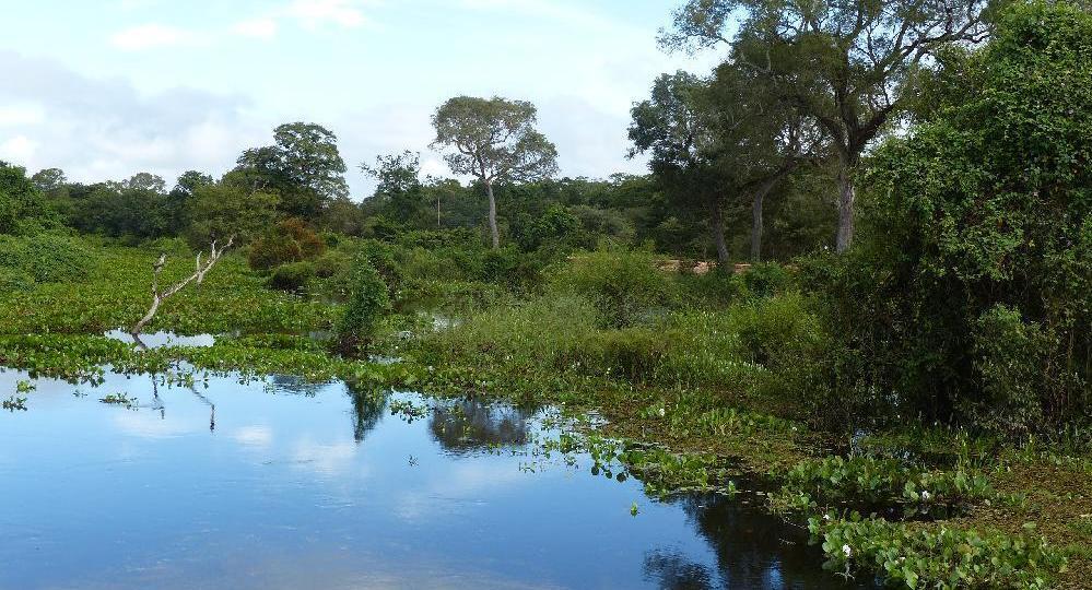 Circuit Le Pantanal : Cuiabá