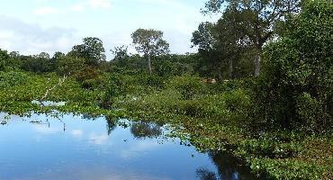 Le Pantanal : Cuiabá