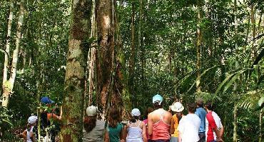 Visiter Balade dans la jungle et maison de riverains