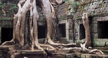 Visiter Le petit circuit : temples Ta Prohm et Takeo