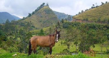 Visiter Vallée del Cauca