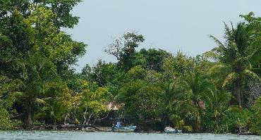 Visiter Kayak à Isla Damas (4h)