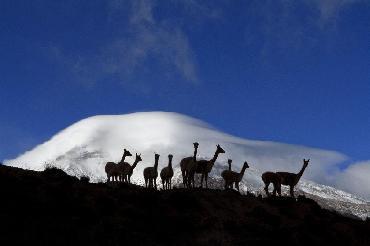 Visiter Parc National du Chimborazo