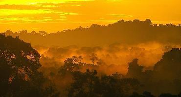 Voyage Equateur : Visiter l'Amazonie secondaire