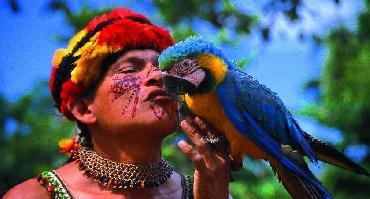 Voyage Equateur : Visiter l'Amazonie primaire