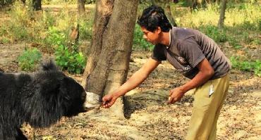 Visiter ONG Wildlife SOS of India-ABRF