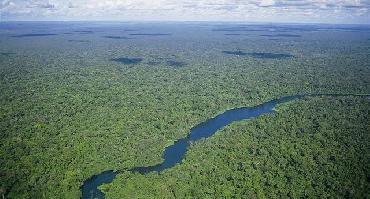 Visiter Découverte des parcs nationaux d'Amazonie