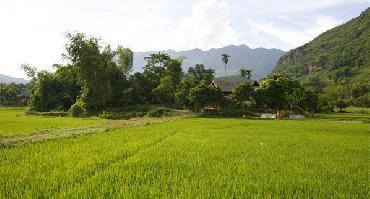 Visiter Village Mai Chau