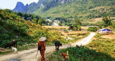 Voyage Vietnam : Visiter Cao Bang